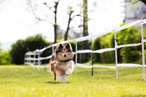 Bilder von unserer Frühjahrsprüfung 2025