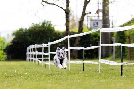 Bilder von unserer Frühjahrsprüfung 2025