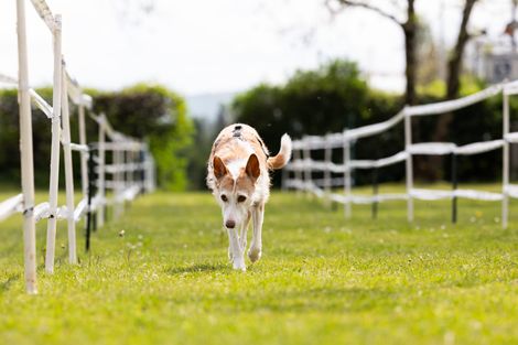 Bilder von unserer Frühjahrsprüfung 2025