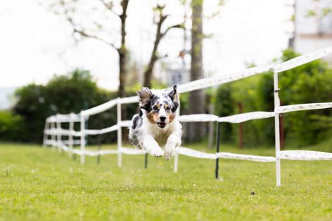 Bilder von unserer Frühjahrsprüfung 2025