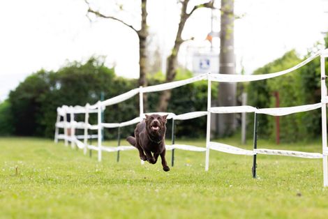 Bilder von unserer Frühjahrsprüfung 2025