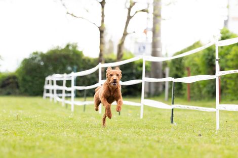 Bilder von unserer Frühjahrsprüfung 2025