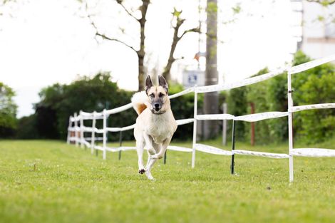 Bilder von unserer Frühjahrsprüfung 2025
