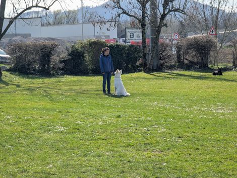 Bilder von unserer Frühjahrsprüfung 2025