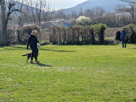 Bilder von unserer Frühjahrsprüfung 2025