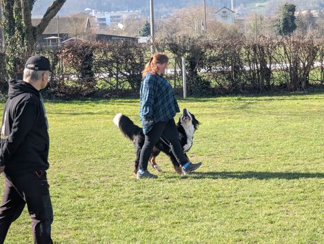 Bilder von unserer Frühjahrsprüfung 2025