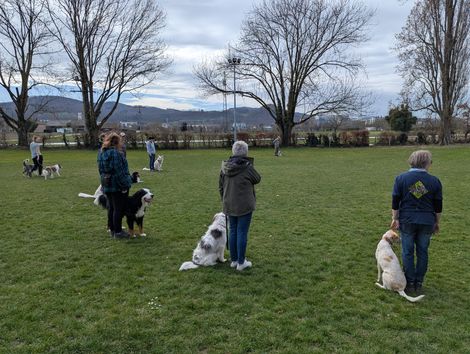 Bilder von unserer Frühjahrsprüfung 2025