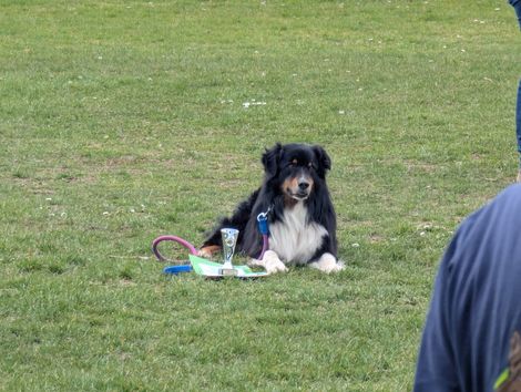 Bilder von unserer Frühjahrsprüfung 2025